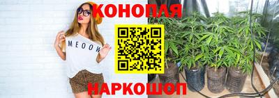 сатива Первоуральск