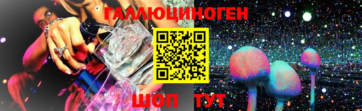 Псилоцибиновые грибы Psilocybine cubensis Асбест